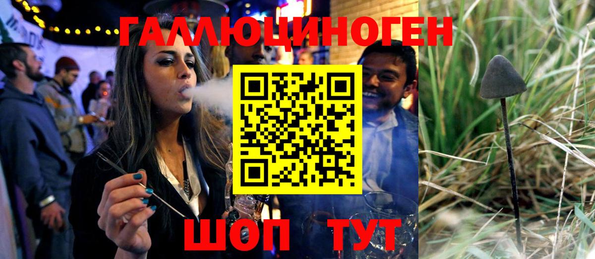 купить наркоту  Вход с VPN  Вязники  Псилоцибиновые грибы MAGIC MUSHROOMS  Галлюциногенные грибы Psilocybe 